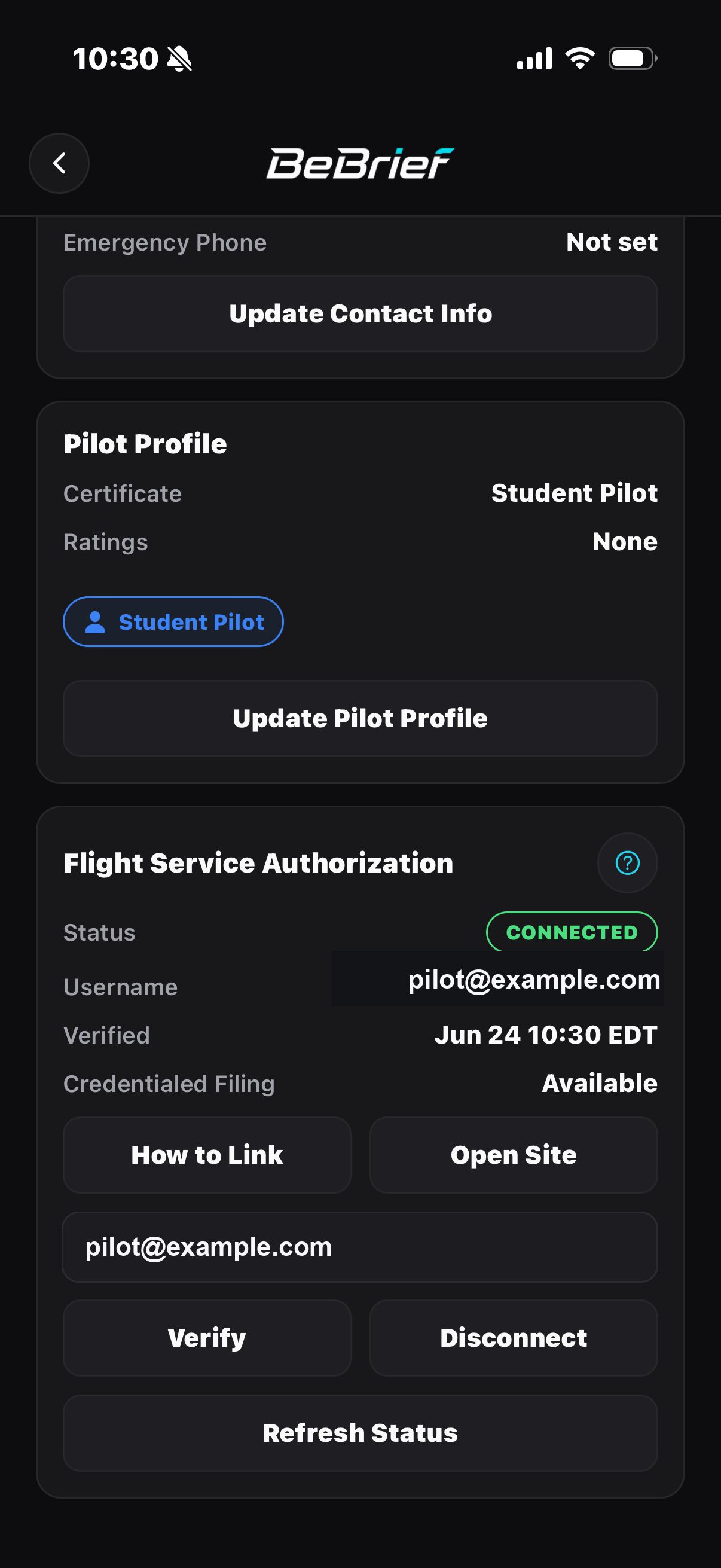 BeBrief Flight Service authorization linking screen